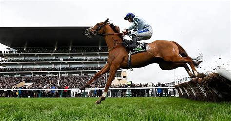 Cheltenham 2024 Wednesday results in full: Every winner from .